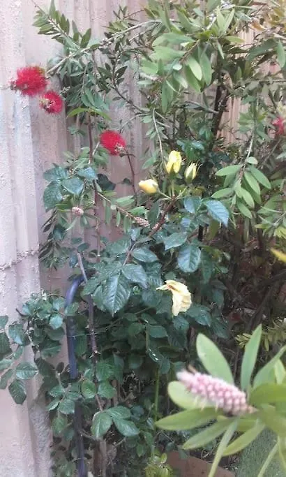 2P. Jardin Calme Centre-Ville Marsella Apartamento